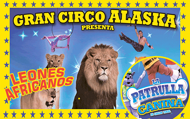 Entradas para Circo Alaska: 13 y 16 de abril