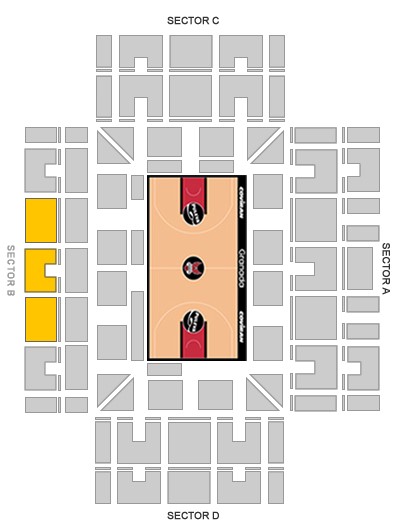 plano basket