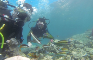 Bautismo de buceo en el mar