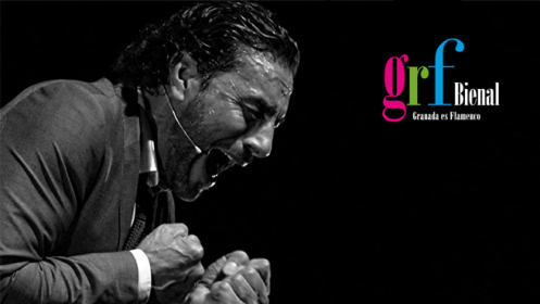 Bienal Flamenco Granada-Granaino Jondo