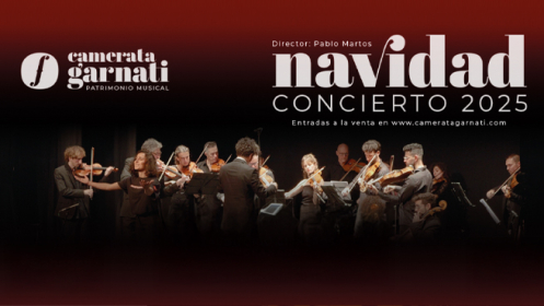 Concierto Navidad. Orquesta Camerata Garnati. 