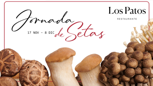 Jornada de las SETAS en Palacio de los Los Patos