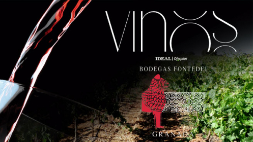 Mes del Vino: Bodega Fontedei