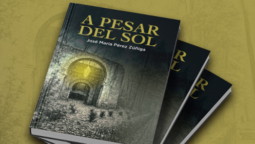 A pesar del sol-José María Pérez Zuñiga