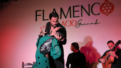 Espectáculo en Palacio Flamenco